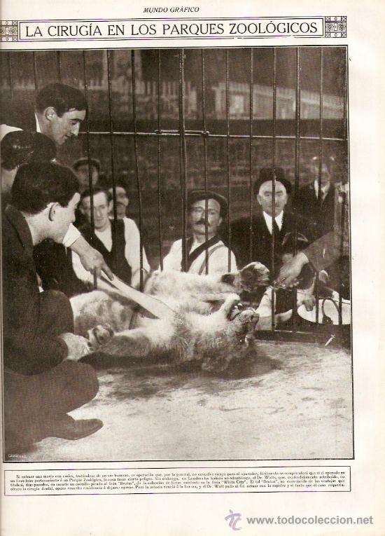 Coleccionismo: A&Ntilde;O 19?? CIRURGIA EN EL ZOO ARTE FOTOGRAFIA ACTRICES TEATRO LARA EN LA ALHAMBRA GRANADA FOTO FAJARDO