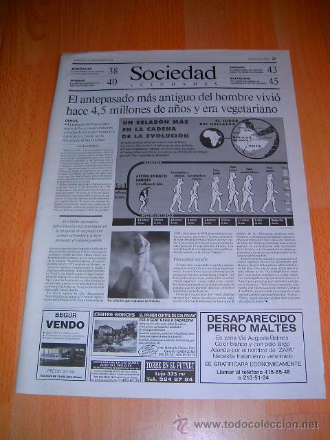 Coleccionismo: EL ANTEPASADO DEL HOMBRE &middot; PREHISTORIA &middot; REPORTAJE LA VANGUARDIA 25 SEPTIEMBRE 1994