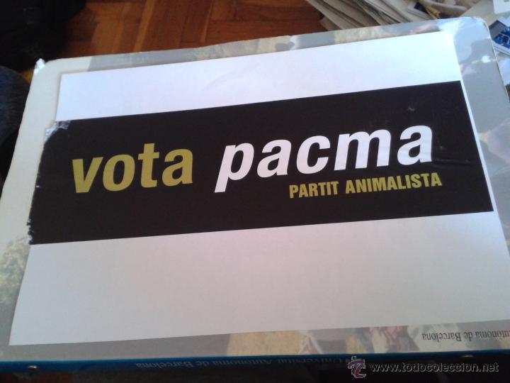 Collectionnisme: Adhesivo grande (ya pegado) elecciones parlament auton&oacute;micas Catalu&ntilde;a PACMA partit animalista