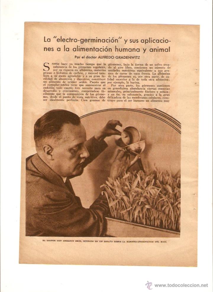 Collezionismo: A&Ntilde;OS 30 RECORTE PRENSA CIENCIA LA ELECTRO GERMINACION ALIMENTACION ARMANDO BERCK ALFREDO GRADENWITZ