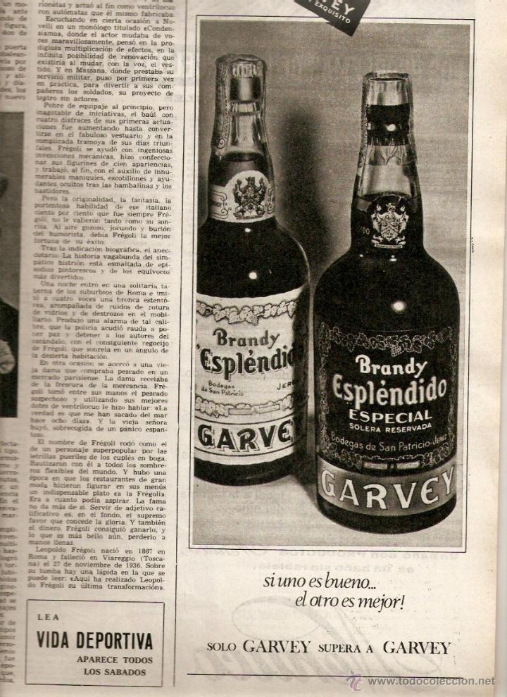Coleccionismo: A&Ntilde;O 1965 RECORTE PUBLICIDAD BRANDY ESPLENDIDO ESPECIAL GARVEY BODEGAS SAN PATRICIO JEREZ