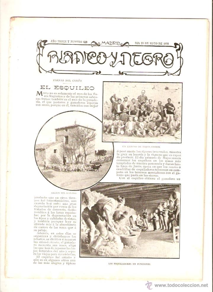 Coleccionismo: A&Ntilde;O 1903 RECORTE PRENSA TRABAJOS FAENAS DEL CAMPO EL ESQUILEO ESQUILAR COLUMELA FOTO DOSSET