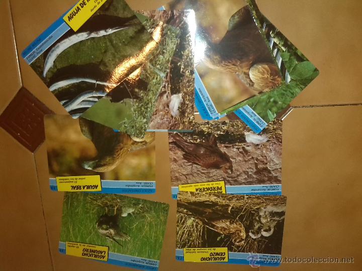 Coleccionismo: Tarjetas coleccion animales - Foto 1