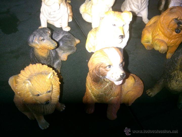 Collection Complète De 19 Miniatures De Races De Chien Avec étagère - Parfait état