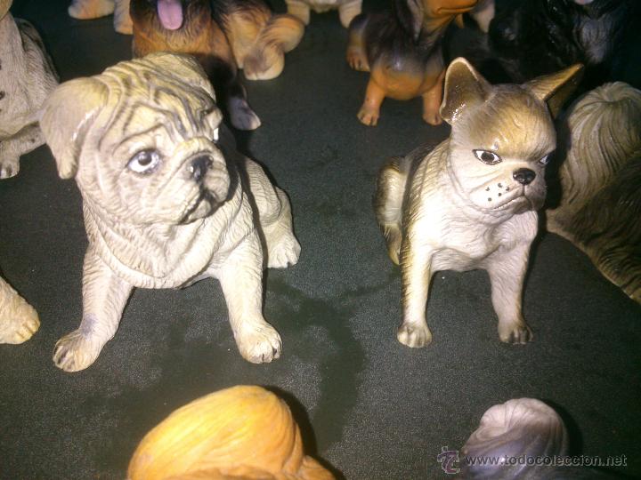 Coleccionismo: COLECCION PERRITOS PERROS MINIATURA - Foto 7