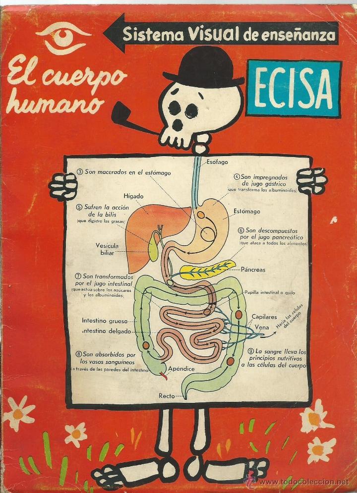 Coleccionismo: LIBRO DE TODO EL CUERPO HUMANO FOTOGRAFIADO EN COLOR Y BLANCO Y NEGRO A&Ntilde;O 1962