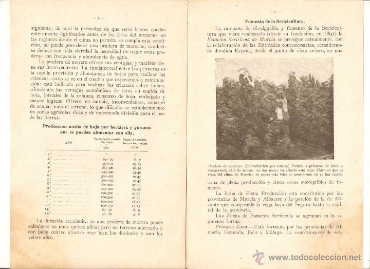Coleccionismo: A&Ntilde;O 1952 AGRCULTURA PRADERAS DE MORERAS FELIPE GONZALEZ MARIN DIRECTOR ESTACION SERICICOLA MURCIA