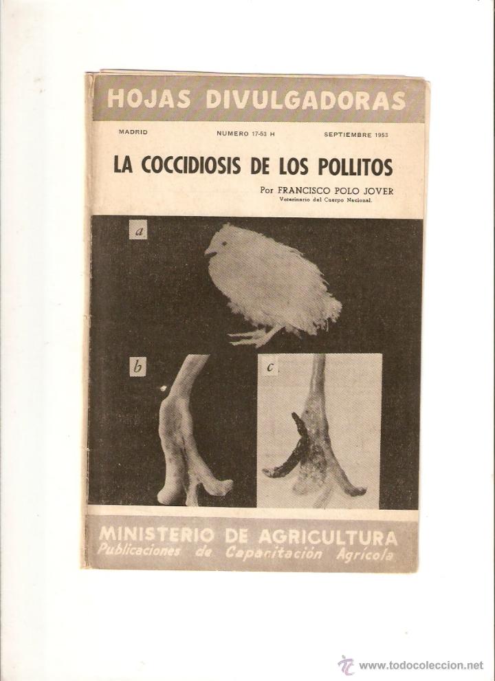 Colecionismo: A&Ntilde;O 1952 ANIMALES ENFERMEDADES AVES COCCIDIOSIS DE LOS POLLITOS FRANCISCO POLO JOVER VETERINARIO