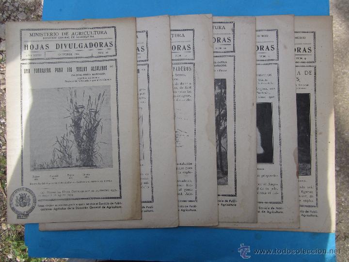 Coleccionismo: lote de 6 fasticulos -hojas divulgadoras ,1933 direccion general de agricultura tambien sueltos