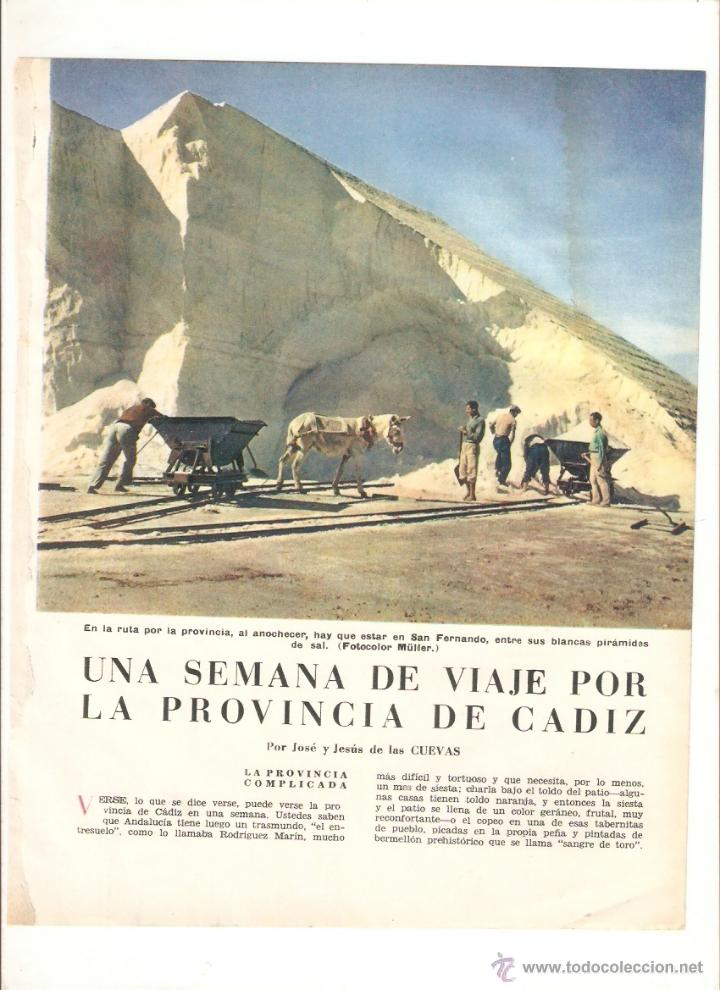 Collecting paper: A&Ntilde;O 1959 RECORTE PRENSA PROVINCIA DE CADIZ PIRAMIDES DE SAL ARCOS ALGECIRAS JEREZ CASTILLO TARIFA