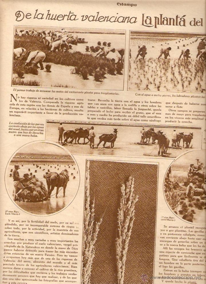 Collectionnisme: A&Ntilde;O 1928 RECORTE PRENSA VALENCIA LA PLANTA DEL ARROZ HUERTA VALENCIANA