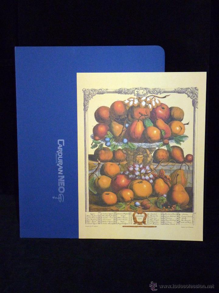 Collecting paper: GRABADO BODEG&Oacute;N OTO&Ntilde;O 1732. ROBERT FURBER. REPRODUCCI&Oacute;N 40 x 30 cm. CARDURAN NEO