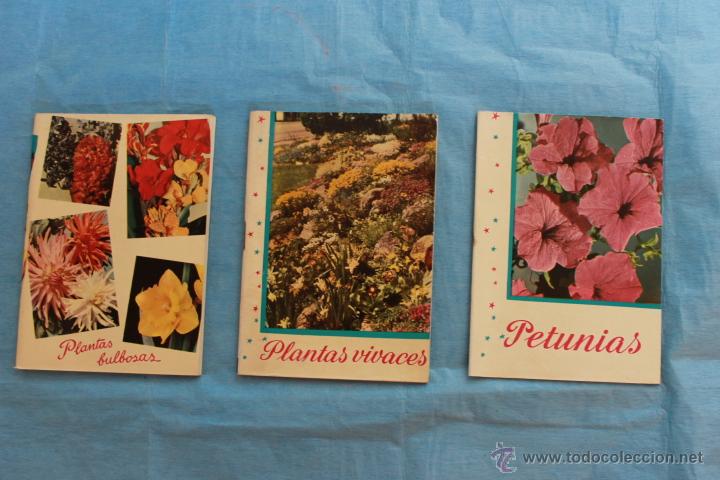 Sammelleidenschaft Papier: 3 FOLLETOS FLORES KANDA  N&ordm;s16 (PETUNIAS) 49 (PLANTAS VIVACES) 58 (PLANTAS BULBOSAS)