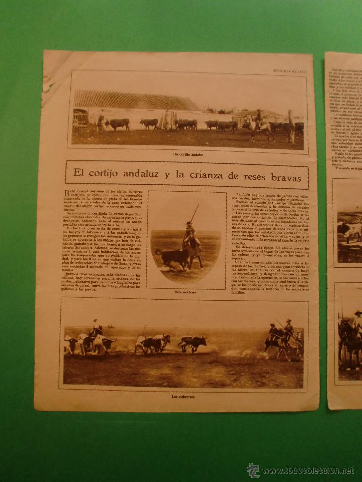 Sammelleidenschaft Papier: EL CORTIJO ANDALUZ Y LA CRIA DE RESES BRAVAS - EL PETROLEO - 192....