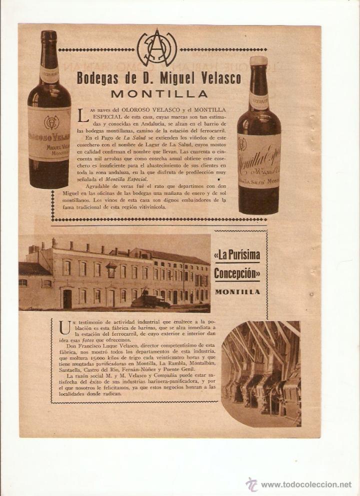 Colecionismo: A&Ntilde;O 1933 BODEGAS VELASCO OLOROSO MONTILLA LA PURISIMA CONCEPCION FABRICA HARINAS LUQUE VELASCO
