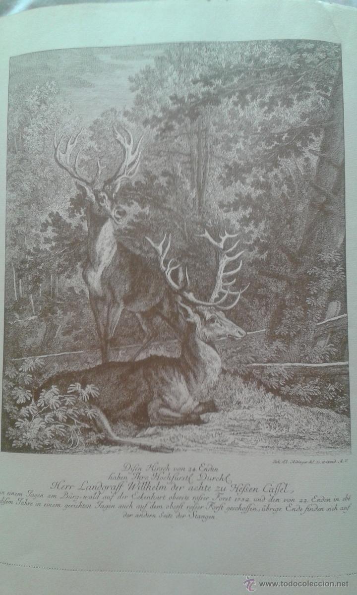 Collezionismo: ANTIGUA L&Aacute;MINA(HOJA DE CALENDARIO) FEDERACI&Oacute;N ESPA&Ntilde;OLA DE CAZA