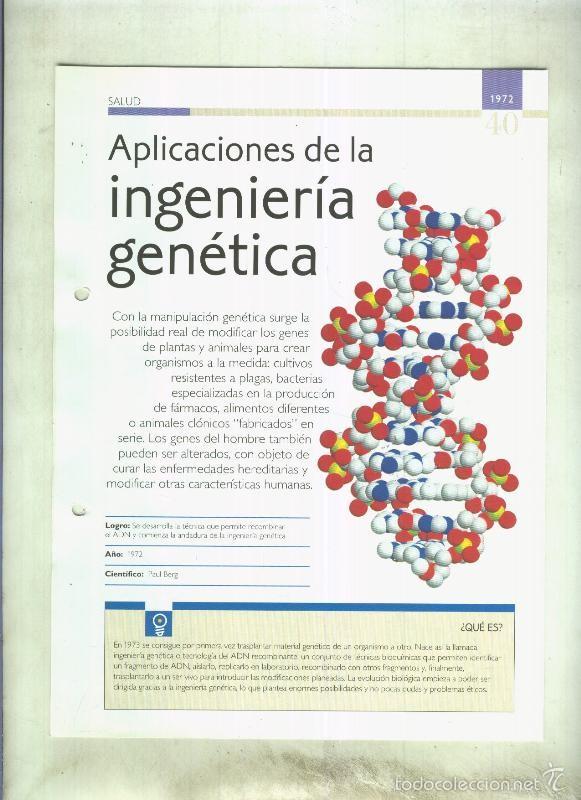 Aplicaciones De La Ingenieria Genetica Son 4 P Comprar