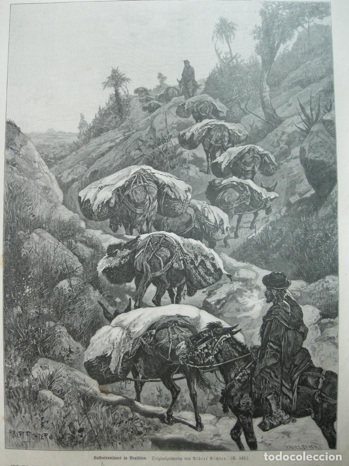 Coleccionismo: Transporte con mulas, (Brasil), 1894 - Foto 1