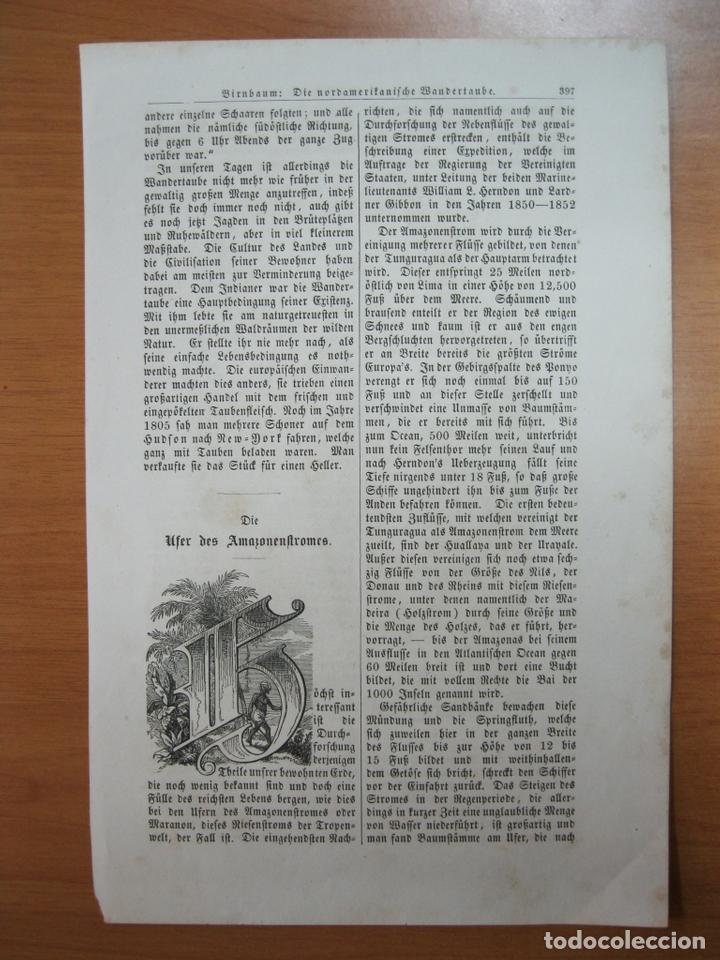 Coleccionismo: Madre ind&iacute;gena (Brasil), 1865. - Foto 3