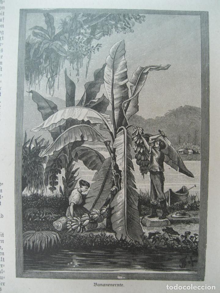 Coleccionismo: Vistas del sur de Brasil (1886) - Foto 1
