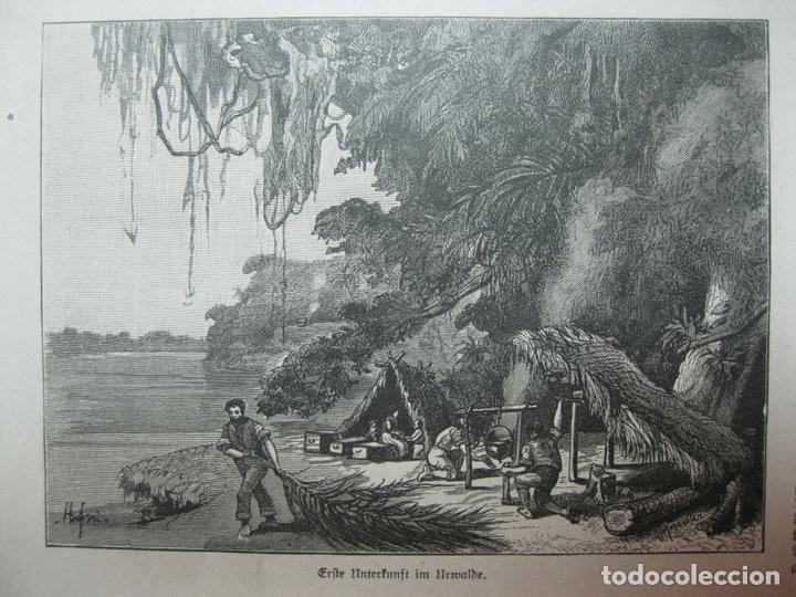 Coleccionismo: Vistas del sur de Brasil (1886) - Foto 4