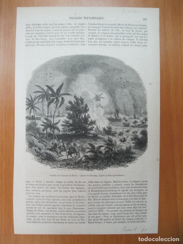 Coleccionismo: Incendio en los campos de Brasil, 1860 - Foto 1
