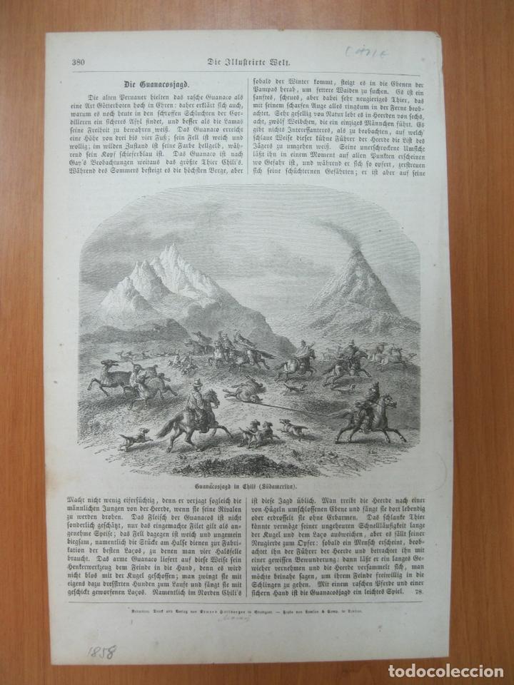 Coleccionismo: La caza del Guanaco en Chile, 1858.