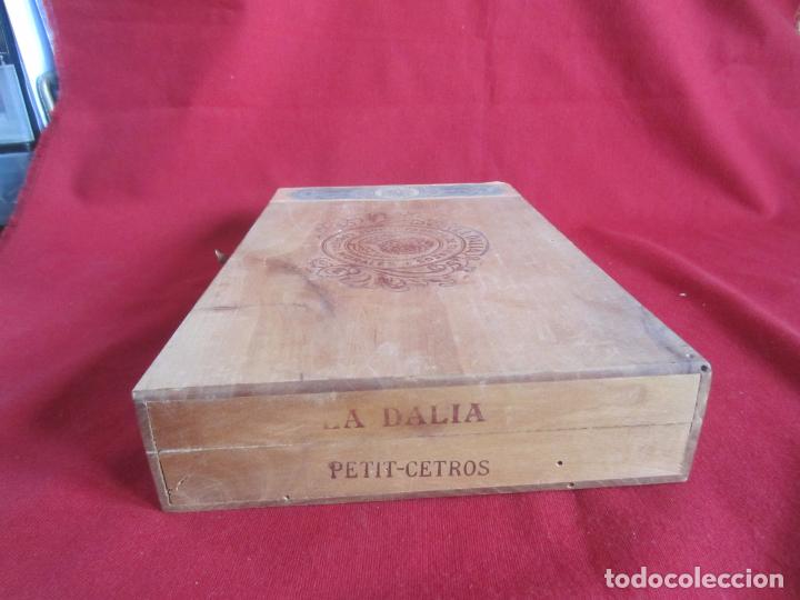 Coleccionismo: ANTIGUA CAJA DE TABACO - LA DALIA - Foto 6