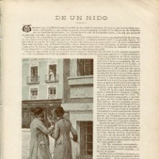 Coleccionismo: LAMINA-ARTICULO DE E. PARDO BAZAN-DE UN NIDO--AÑO 1902