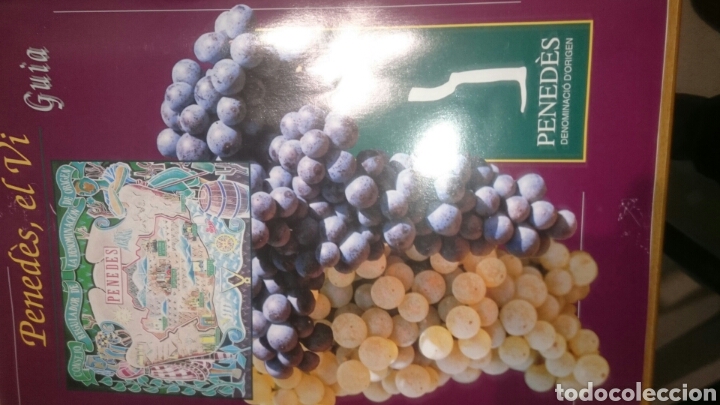 Coleccionismo: Guia de vinos del penedes - Foto 1