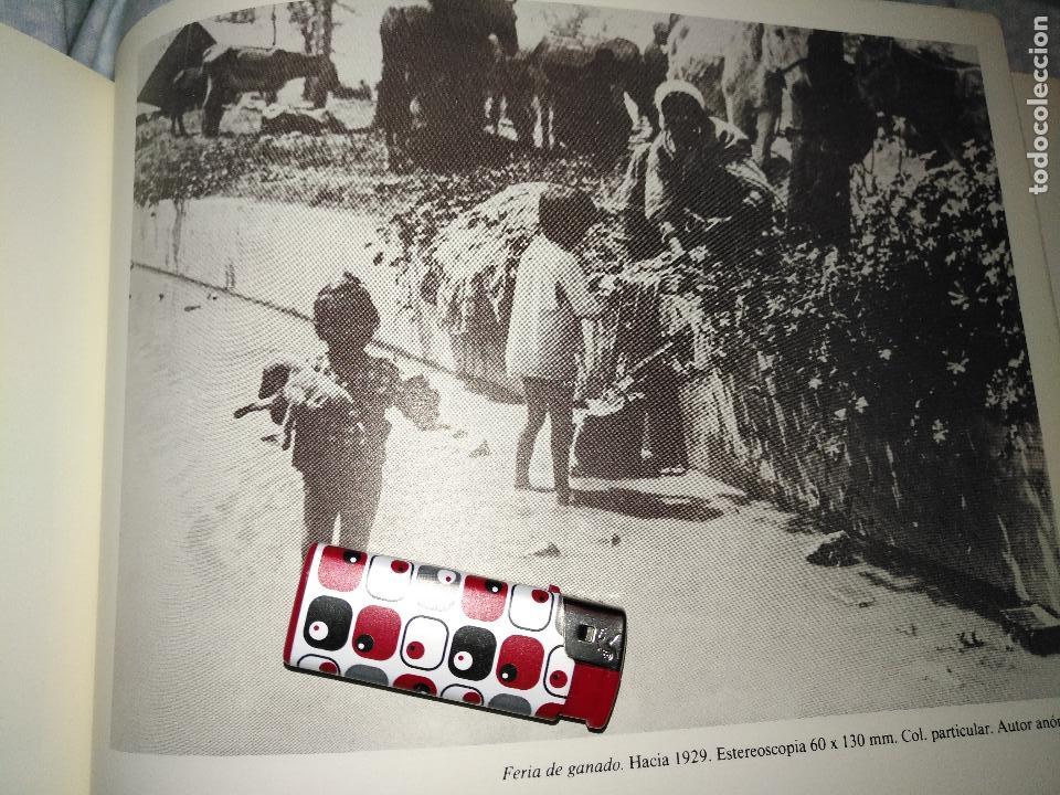 Collezionismo: lamina fotografica con fotografia de : sevilla - feria del ganado hacia 1929