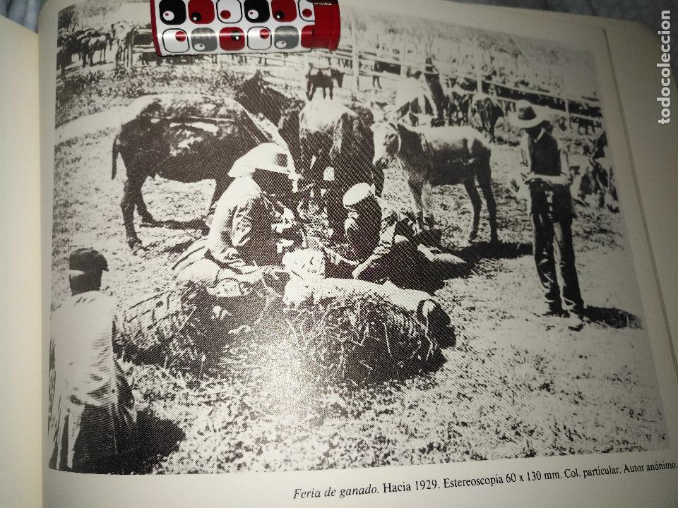 Collezionismo: lamina fotografica con fotografia de : sevilla - feria del ganado hacia 1929