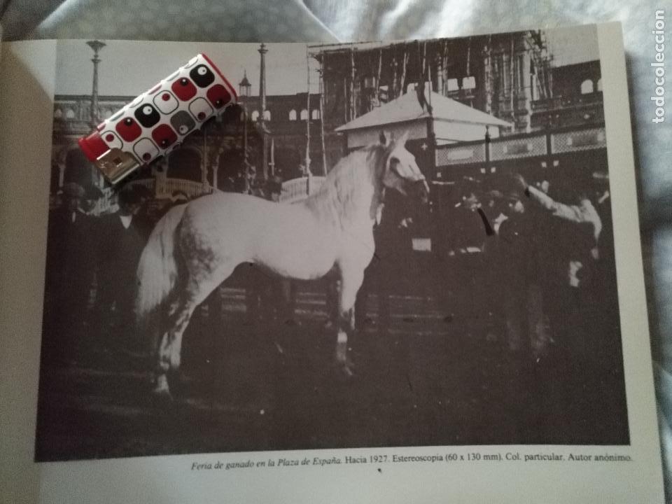 Sammelleidenschaft Papier: lamina fotografica con fotografia de : sevilla - FERIA DEL GANADO HACIA 1927 CABALLO