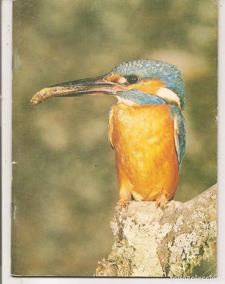 Coleccionismo: MATERIAL ESCOLAR. LIBRETA PARA USO ESCOLAR. N&ordm; 45. PAPEL CUADRICULADO. EDELVIVES. (P/D82)