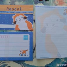 Mapache Rascal araiguma rascal the racoon el mapache 1 letter - Compra venta en ...