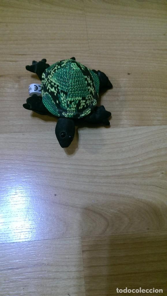 Sammeln: TORTUGA