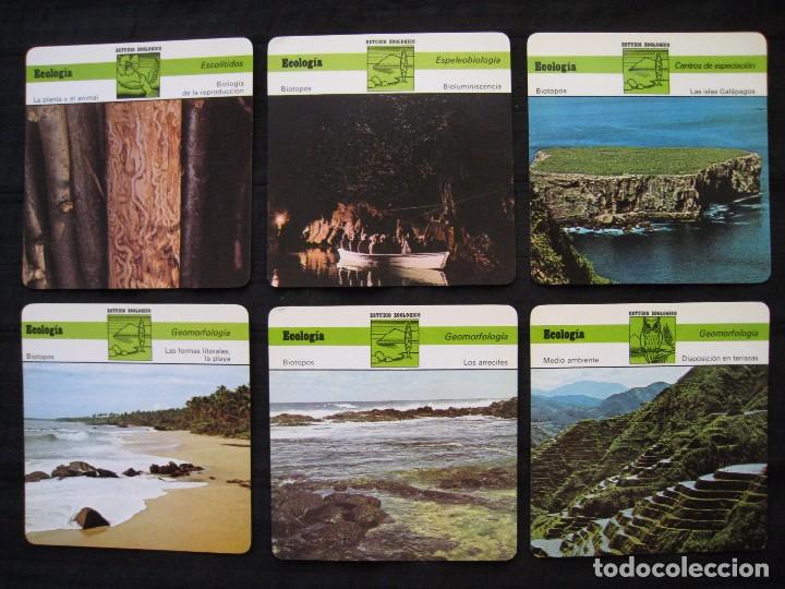 Sammelleidenschaft Papier: LOTE 6 FICHAS COLECCIONABLES DE ANIMALES - ECOLOGIA - ED.RENCONTRE - S.A.P.E. 1979 / 1980.