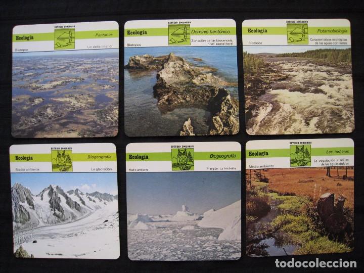 Sammelleidenschaft Papier: LOTE 6 FICHAS COLECCIONABLES DE ANIMALES - ECOLOGIA - ED.RENCONTRE - S.A.P.E. 1978 / 1979 / 1980.