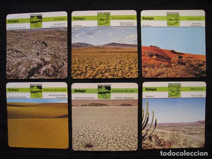 Sammelleidenschaft Papier: LOTE 6 FICHAS COLECCIONABLES DE ANIMALES - ECOLOGIA - ED.RENCONTRE - S.A.P.E. 1978 / 1979 / 1980.