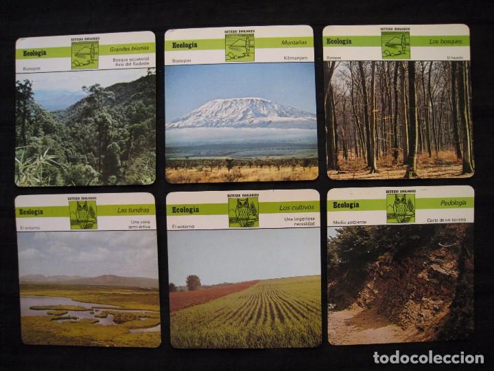 Sammelleidenschaft Papier: LOTE 6 FICHAS COLECCIONABLES DE ANIMALES - ECOLOGIA - ED.RENCONTRE - S.A.P.E. 1978 / 1979.