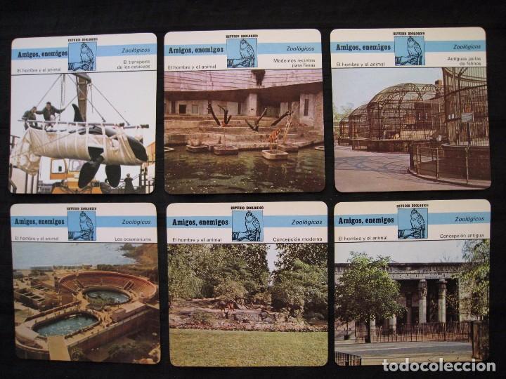 Sammelleidenschaft Papier: LOTE 6 FICHAS COLECCIONABLES DE ANIMALES - AMIGOS, ENEMIGOS - ED.RENCONTRE - S.A.P.E. 1979 / 1980.