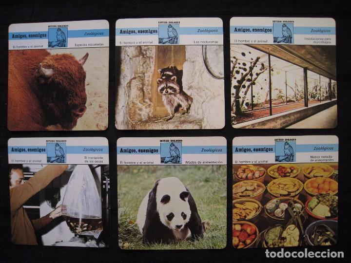 Sammelleidenschaft Papier: LOTE 6 FICHAS COLECCIONABLES DE ANIMALES - AMIGOS, ENEMIGOS - ED.RENCONTRE - S.A.P.E. 1979 / 1980.