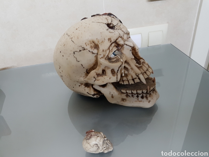 Coleccionismo: CALAVERA CON LUZ Y SONIDO - Foto 4