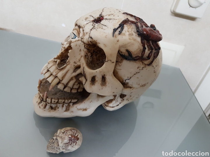 Coleccionismo: CALAVERA CON LUZ Y SONIDO - Foto 2