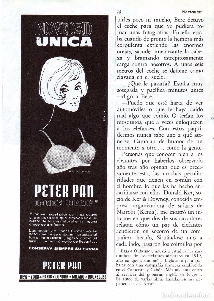 Coleccionismo: ANUNCIO PUBLICITARIO SUJETADOR PETER PAN