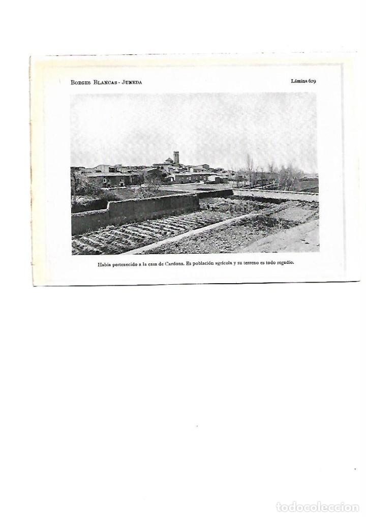 Collectionnisme: A&Ntilde;O 1922 JUNEDA LES GARRIGUES LLEIDA AGRICULTURA HUERTO LAMINA FOTOGRAFICA TIPO POSTAL