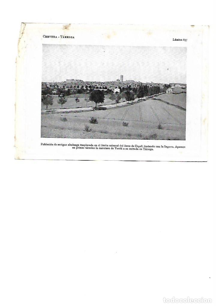 Collectionnisme: A&Ntilde;O 1922 TARREGA LLEIDA LERIDA VISTA GENERAL LAMINA FOTOGRAFICA TIPO POSTAL