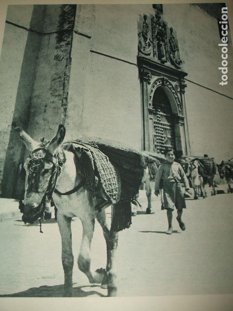 Coleccionismo: GRANADA HILERA DE MULAS LAMINA HUECOGRABADO A&Ntilde;OS 40 17,5 X 23 CMTS