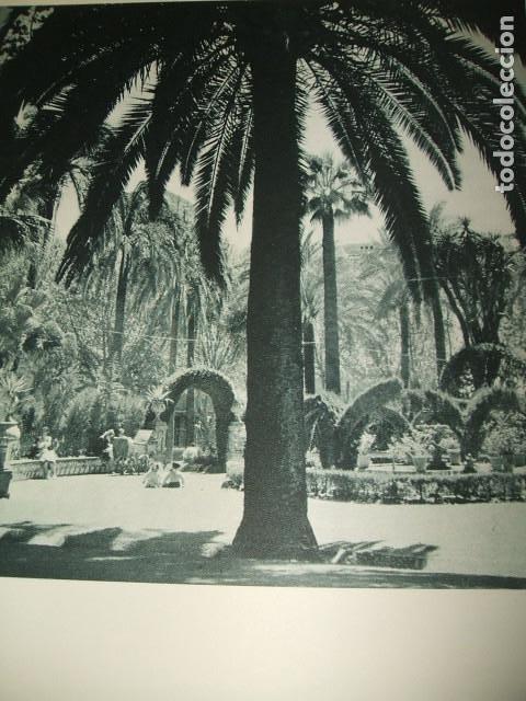 Coleccionismo: MALAGA PARQUE DE LARIOS LAMINA HUECOGRABADO A&Ntilde;OS 40 17,5 X 23 CMTS