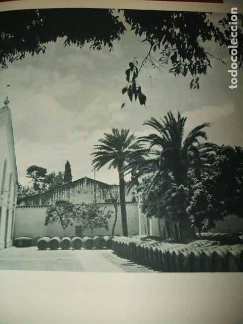 Coleccionismo: JEREZ DE LA FRONTERA CADIZ BODEGAS LAMINA HUECOGRABADO A&Ntilde;OS 40 17,5 X 23 CMTS